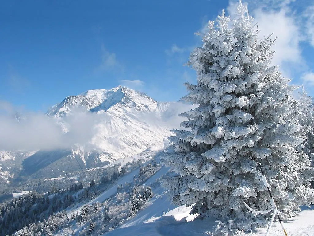 GERFAUD Appartements en chalet Saint-Gervais-les-Bains